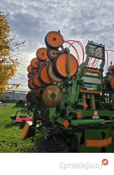 Siewni do kukurydzy Amazone ed x 6000 TC 8 Szprotawa sprzedam