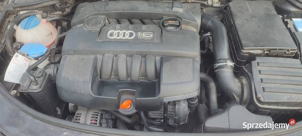 Audi A3 16 8v MPIbenzyna180 klima alusy super Krosno