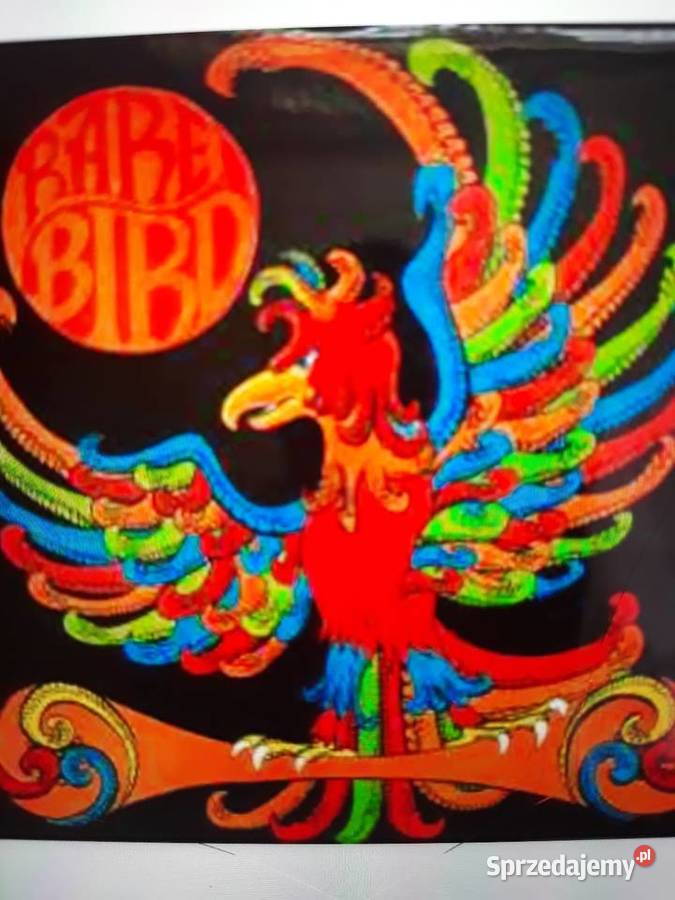 Archiwum progpsych rocka RARE BIRD Rare Bird Rzeszów