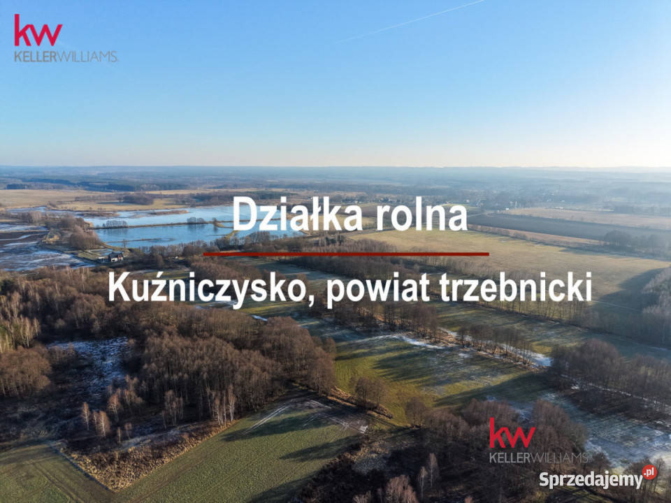 Działka 6850m2 Kuźniczysko dolnośląskie
