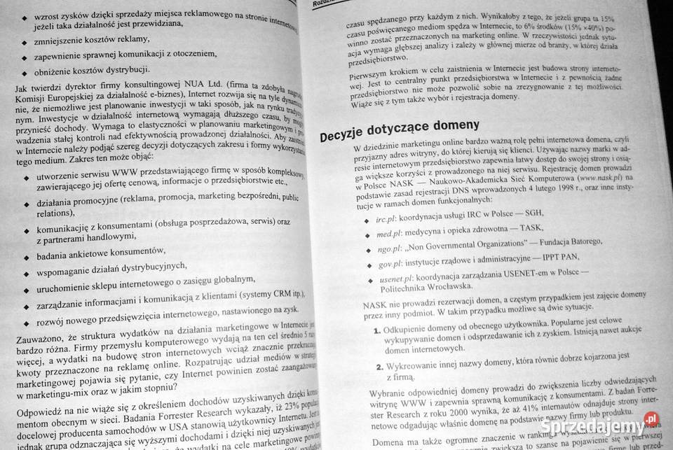 Marketing w internecie Strategie małych i dużych lubelskie Chełm
