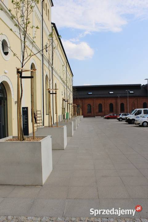 Betonowa donica Jumbo Świdnica