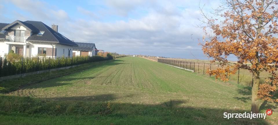 Działka rolnobudowlana 90ar lubelskie Polesie sprzedam