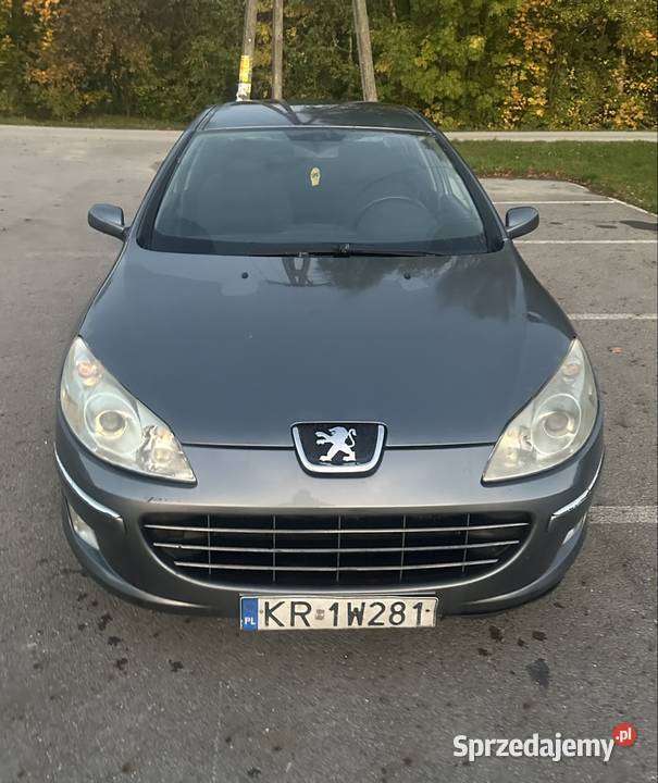 Peugeot 407 16 diesel 2009r podkarpackie