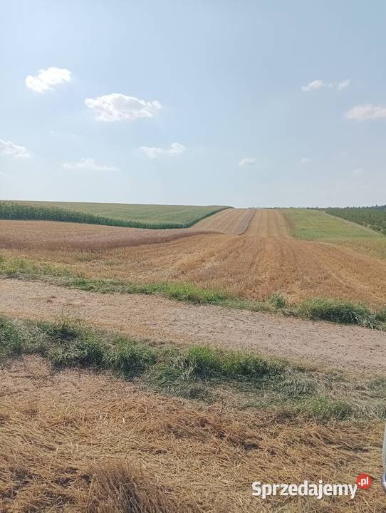 Działka rolna pole orne Cząstkowice