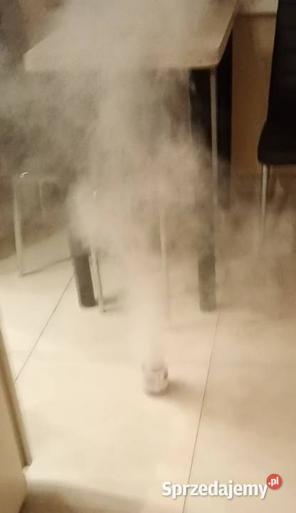 Dezynsekcja Fumigacja kujawsko-pomorskie Włocławek usługi