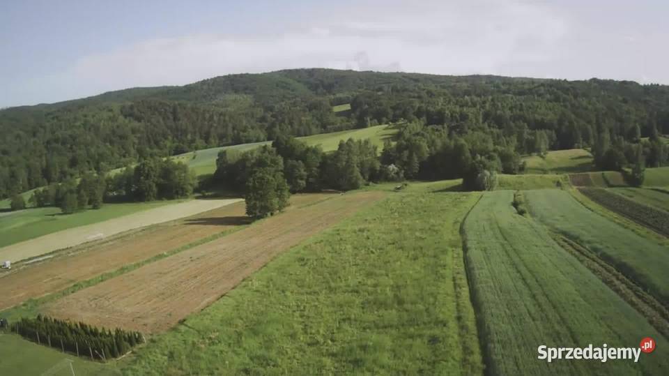 Lipnica Dolna malownicze miejsce z potencjałem