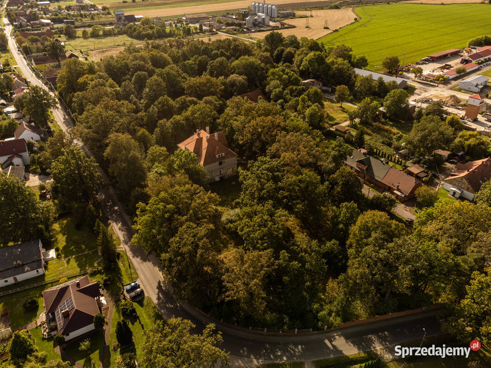 Zabytkowy pałac z parkiem Wilków woj Opolskie opolskie