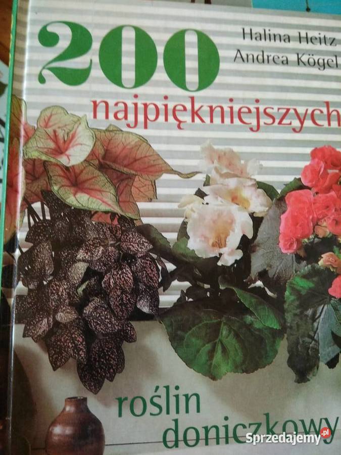 200 najpiękniejszych roślin doniczkowych Poradniki, albumy i reportaże mazowieckie