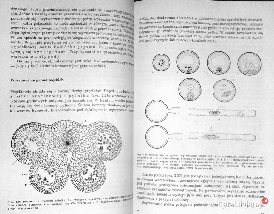 Świat roślin Cz 1234 Józef Prończuk Chełm