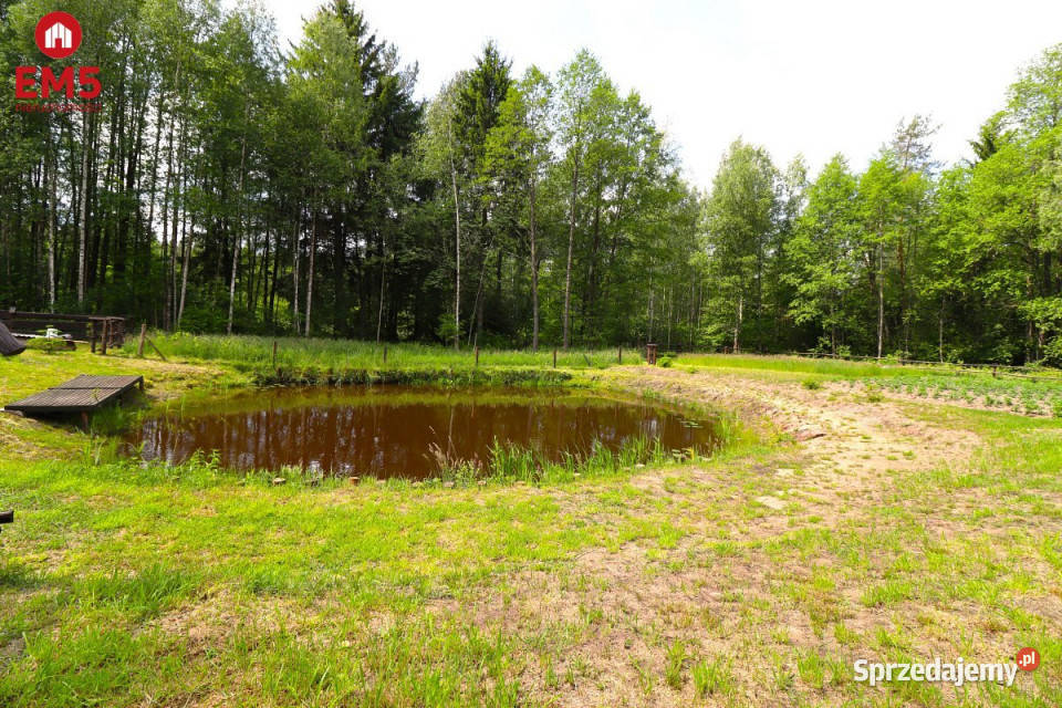 Działka 2761m2 Płaska sprzedam