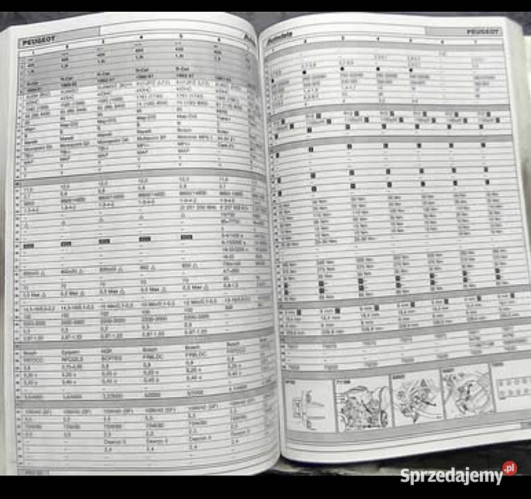 Książka dane diagnostyczne silnika i podwozia Ruszowice sprzedam