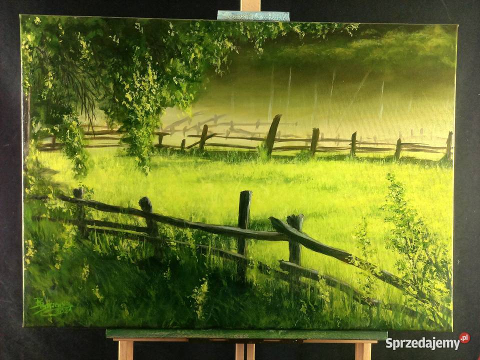 Obraz akrylowy malowany ręcznie Malarstwo Antyki, Sztuka, Kolekcje Olsztyn