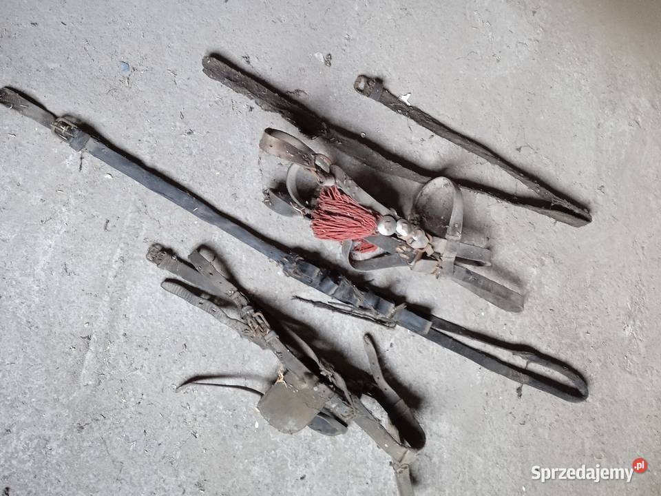 Uprząz konna małopolskie