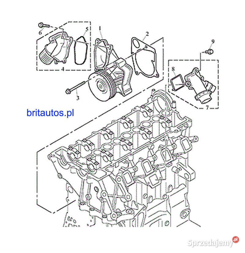 TERMOSTAT ZESTAW USZCZELKA ROVER 75 MG ZT CDT Poznań sprzedam