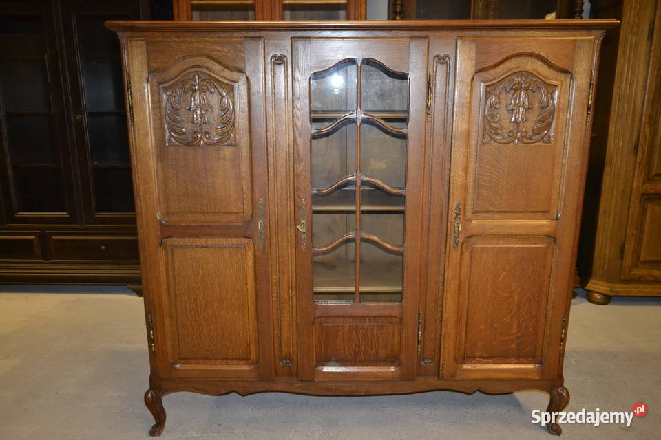 biblioteka witryna ludwikowska dąb Będzin