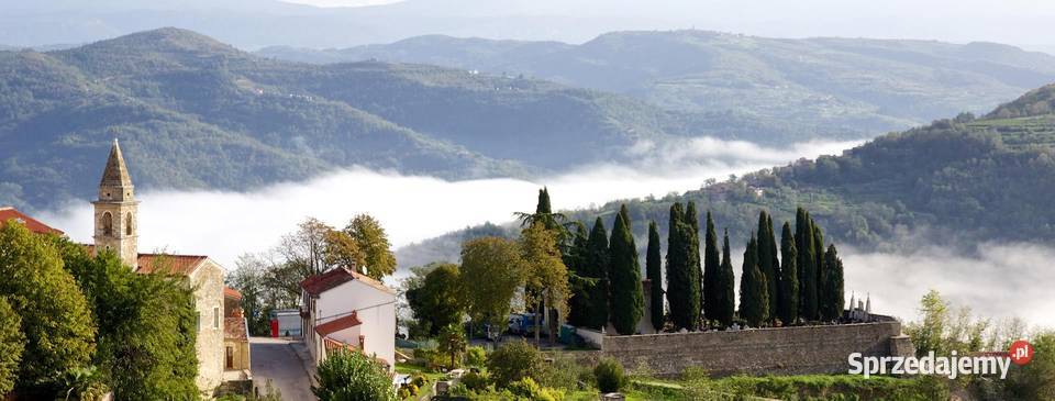 Geotour oferuje wycieczke objazdową Złoto Istrii Chorzów