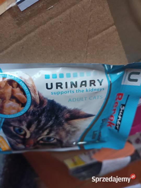 Karma mokra Benek 24 saszet Włocławek