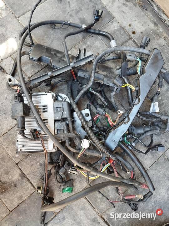 Wiązka silnika n42b20 n42b18 n46 Leżajsk