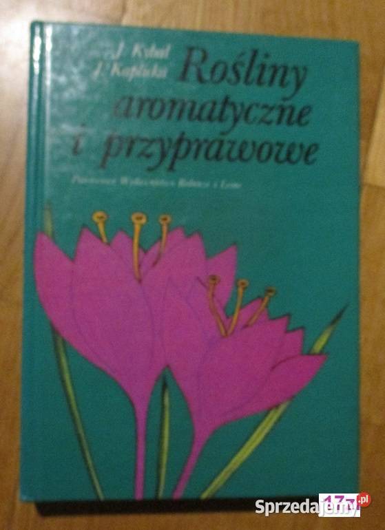 Rośliny przyprawowe Hlava Lanska przyprawy zioła Łódź