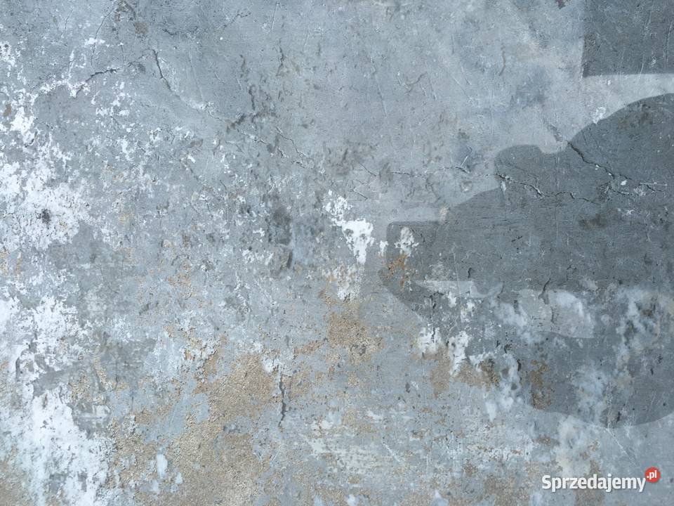 Gres płytka podłogowa gneis gris n plus 745x745 mazowieckie Reguły