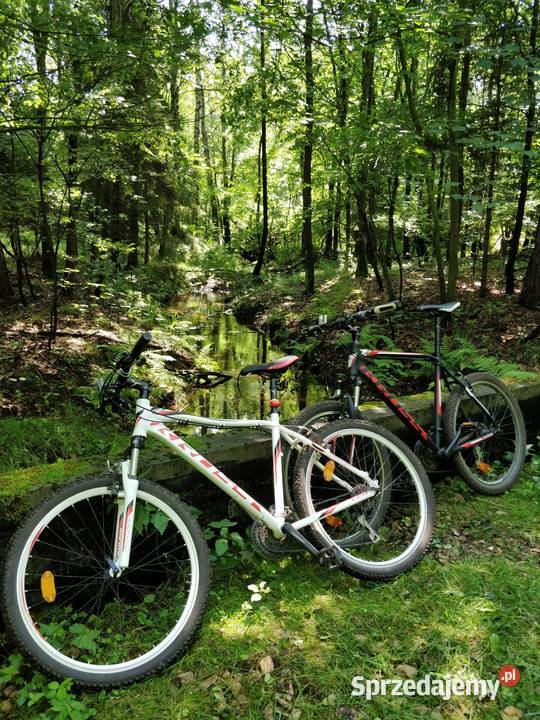Rower MTB LEA F3 Hexagon X3 sprzedam