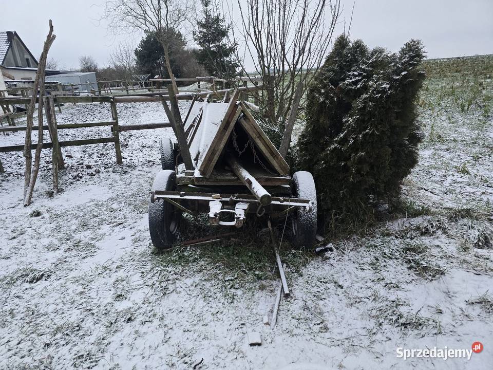 Sprzedam wóz konny