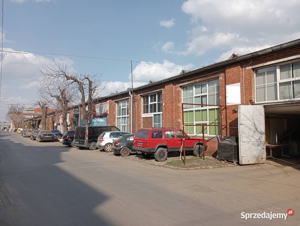 Lokal do wynajęcia parter Wrocław