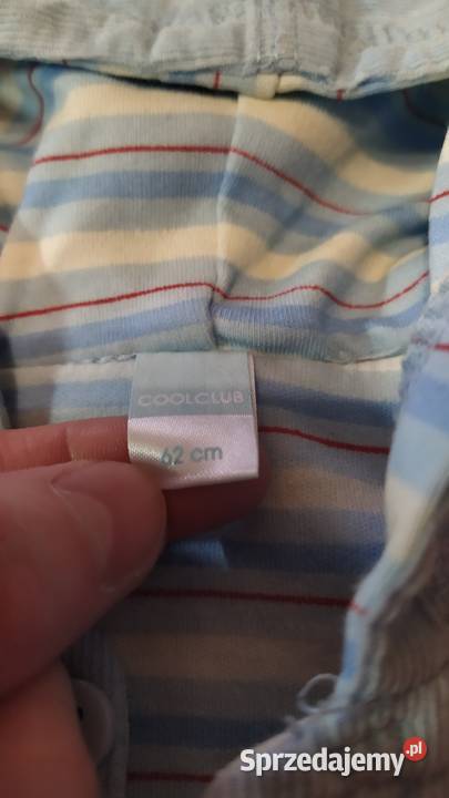 kurteczka sztruksowa 62 mazowieckie sprzedam