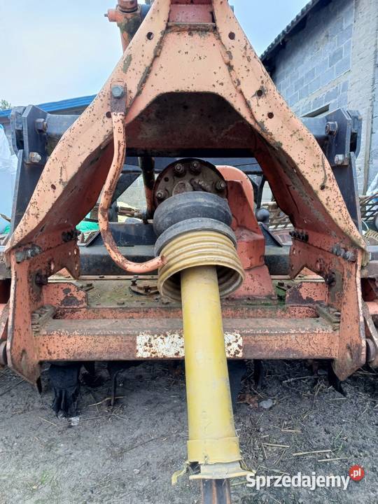 Brona aktywna maschio 3m Maschio Leśniaki