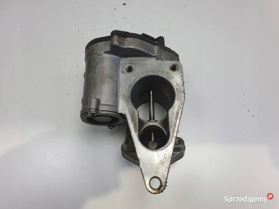 Renault Scenic II 19 DCI ZAWÓR EGR 8200850755 Rudka