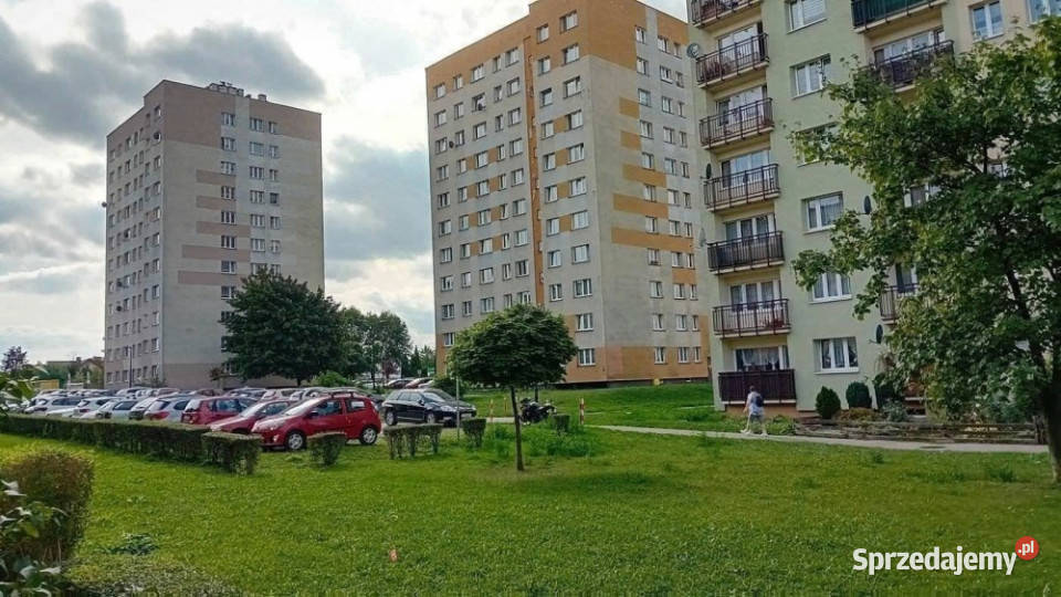 Komfortowe mieszkanie do wynajęcia Chorzów Liczba pokoi 2 sprzedam