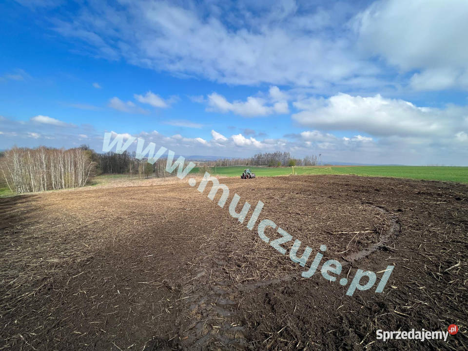 Mulczer leśny wgłębny powierzchniowy Karczowanie Wadowice