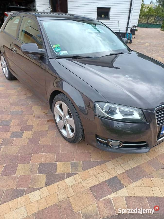 Audi A3 Audi A3 20 TDI CR 140 Ambition sprzedam