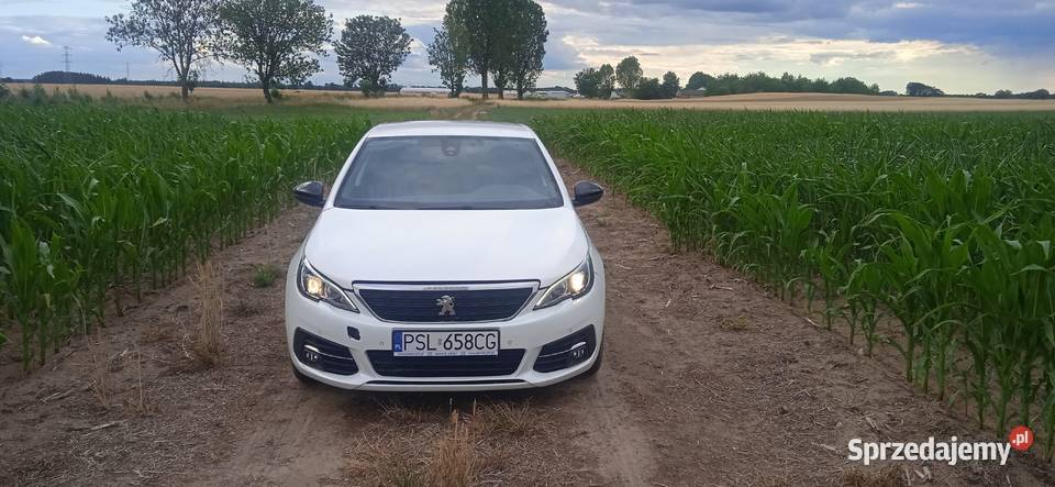 peugeot 398 Dziembowo