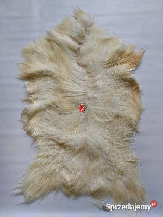 Skóra z Kozy XXL Dekoracyjna Naturalna Skóry