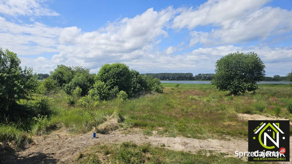 Działka 9800m2 Laska 20zł/m2