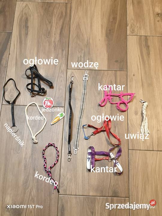 Hobby horse Podegrodzie