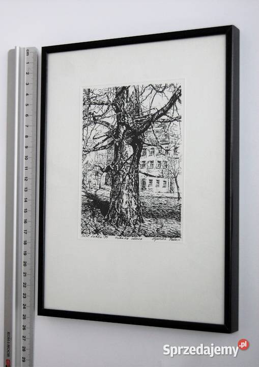 Drzewo grafika czarnobiała Agnieszka Paluch 1994 Lublin