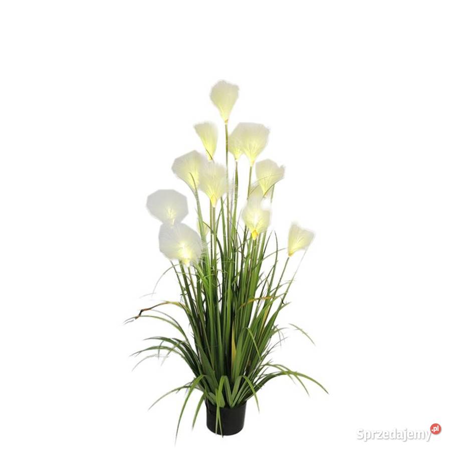 Sztuczna trawa dekoracyjna Premium podświetlana małopolskie Golkowice