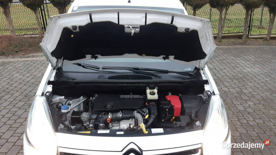 Citroen Berlingo Citron Berlingo Multispace Blue