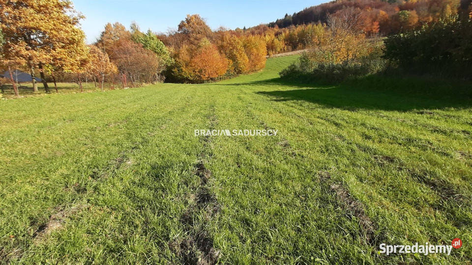 sprzedaży działki 7000m2 Komorniki sprzedam