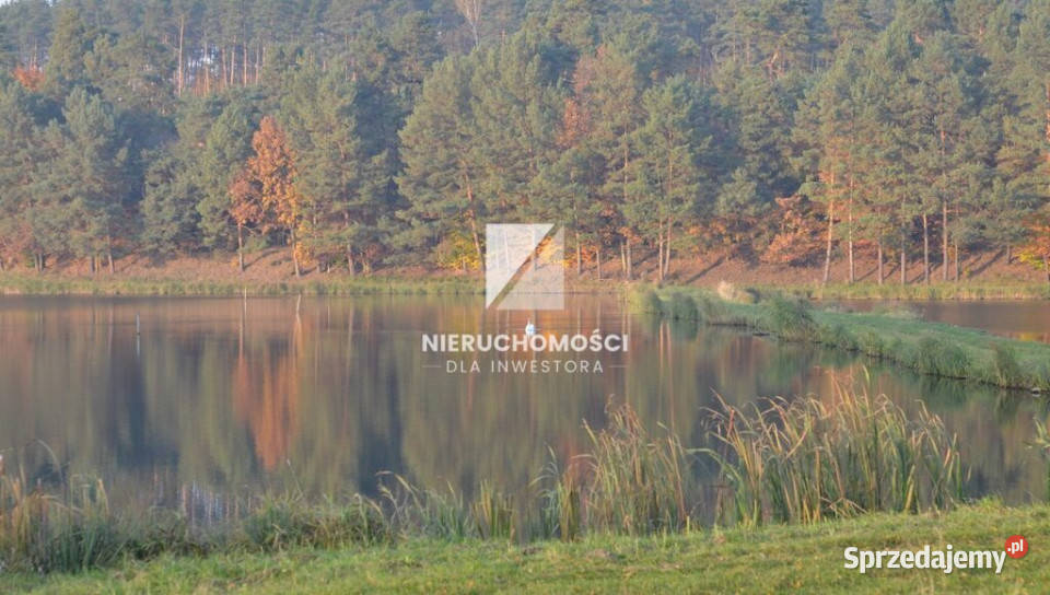 Działka budowlana 4000 mkw widok na staw Wełmin sprzedam