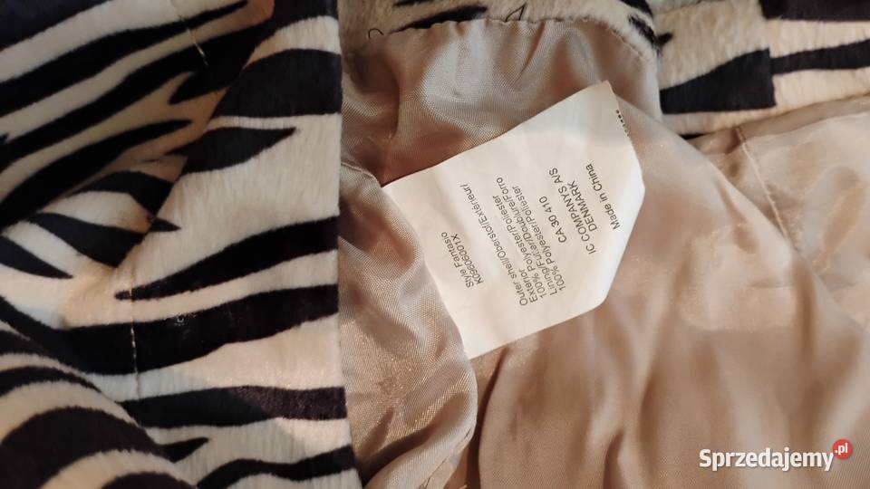 Zebra by Isabell Kristensen kujawsko-pomorskie