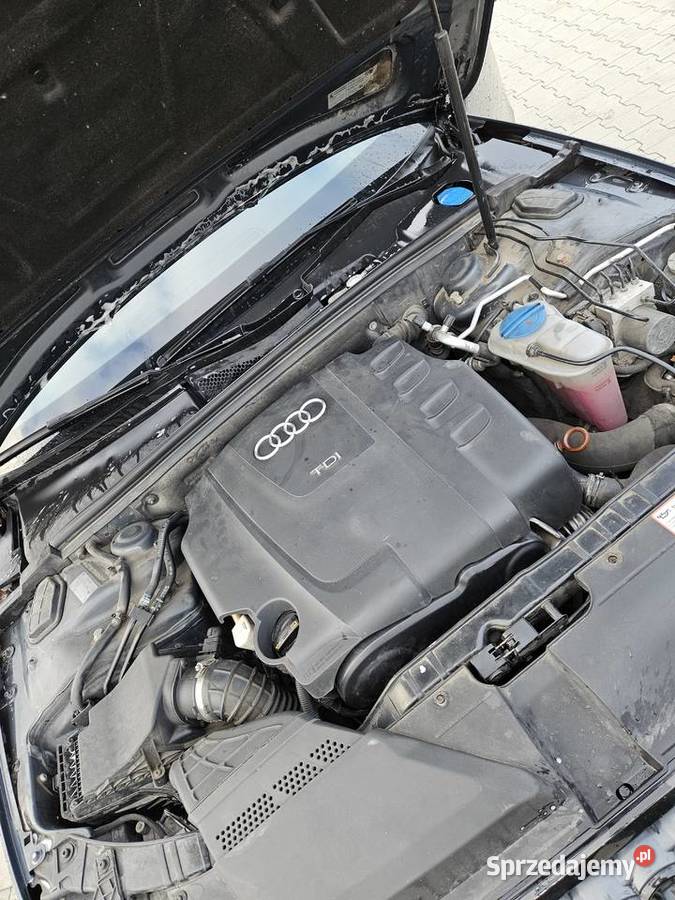 Audi a4 b8 20tdi diesel Osiek sprzedam