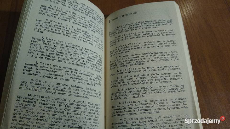 500 zagadek zoologicznych Jadwiga Wernerowa wyd pomorskie Gdańsk