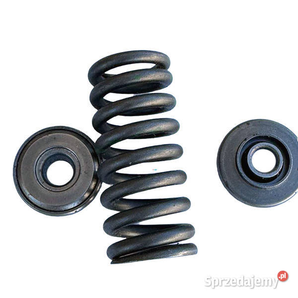 RE505499 Zestaw sprężyn zaworowych John Deere