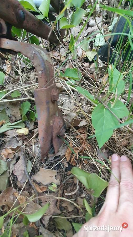 Bagażnik dachowy wartburg Warszawa