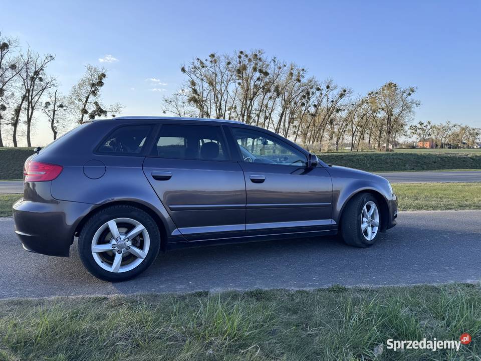Audi a3 20 TDI Motoryzacja Murowana Goślina sprzedam