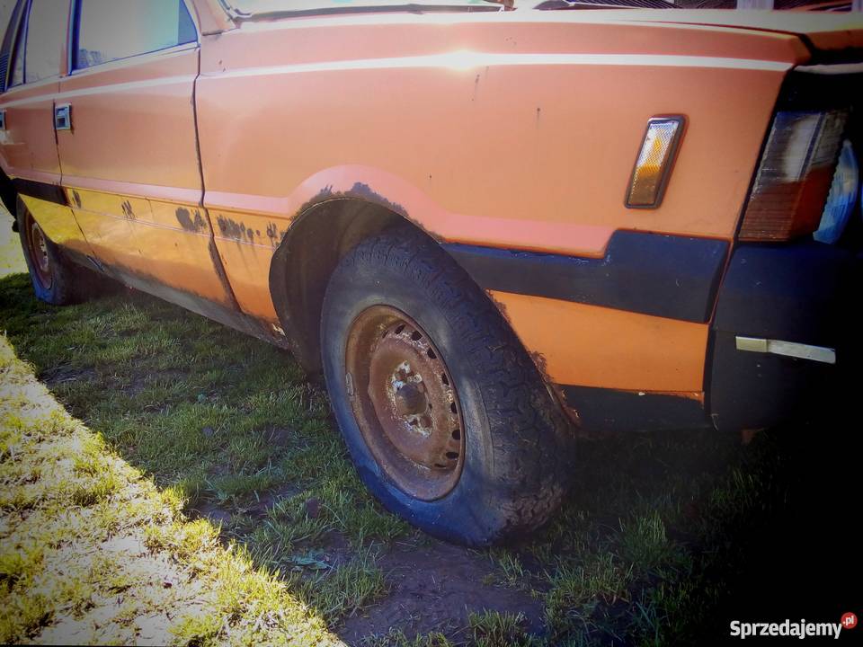 Polonez Borewicz POLSKI KLASYK Hatchback świętokrzyskie